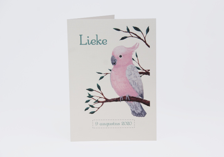 geboortekaartje laten ontwerpen